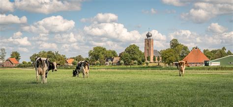 Foto van Zorgboerderij Het Gooi met op de achtergrond natuur