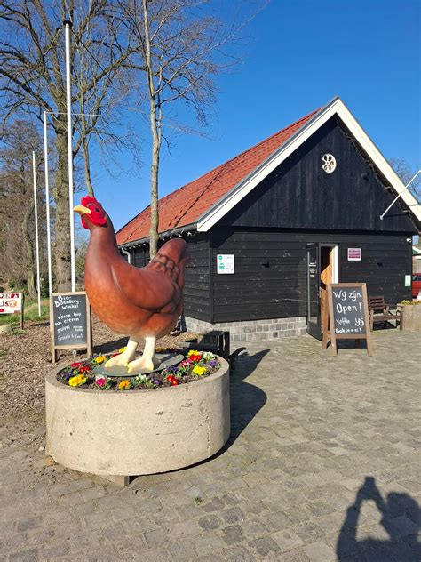 Foto van deelnemers die samenwerken in de tuin op de zorgboerderij