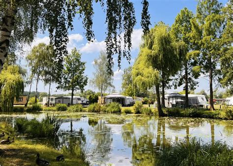 Panoramafoto van Camping Relaxa, die de bosrijke omgeving en rustieke sfeer weergeeft.