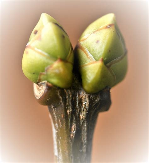 Een kind dat aan de knoppen draait van een miniatuur kraan in de Rotterdamse haven.