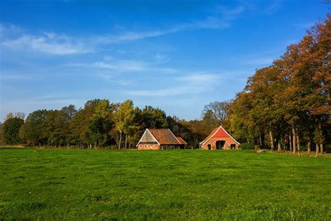 Landschap van de Achterhoek met weilanden en bossen