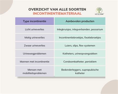 Overzicht van verschillende soorten vakantiehuizen voor groepen