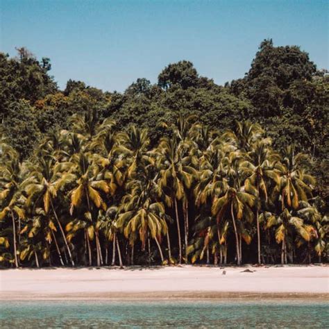 Infographic met handige tips voor reizen van Amsterdam naar Durban