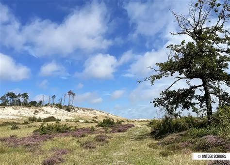 overzichtskaart van de Schoorlse Duinen met de locaties van de vakantieparken