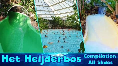 Gezinsvriendelijke glijbanen en waterattracties in het Aqua Mundo zwemparadijs.
