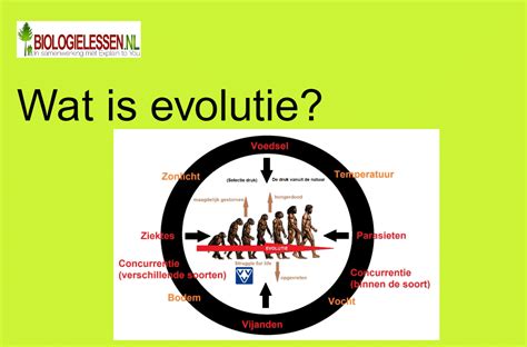 Infographic die de evolutie van de economie toont, van bezit naar toegang en ervaringen, met Airbnb als voorbeeld.