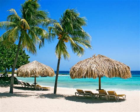 Curaçao strand met palmbomen