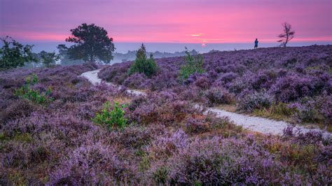 Landschapsfoto van de Sallandse Heuvelrug of het IJsseldal