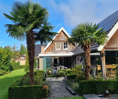 Tropische tuin met palmbomen en ligstoelen bij Vila do Ouro