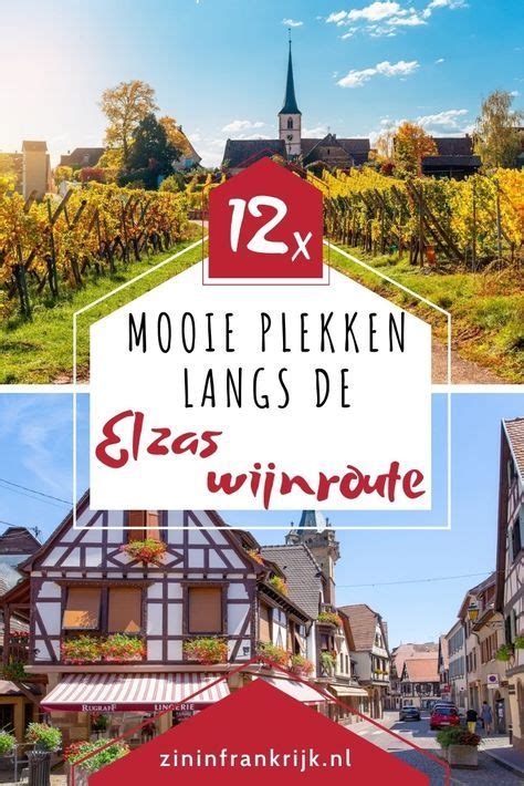 Panoramisch uitzicht over de Elzasser wijngaarden met een typisch wijnhuisje op de voorgrond