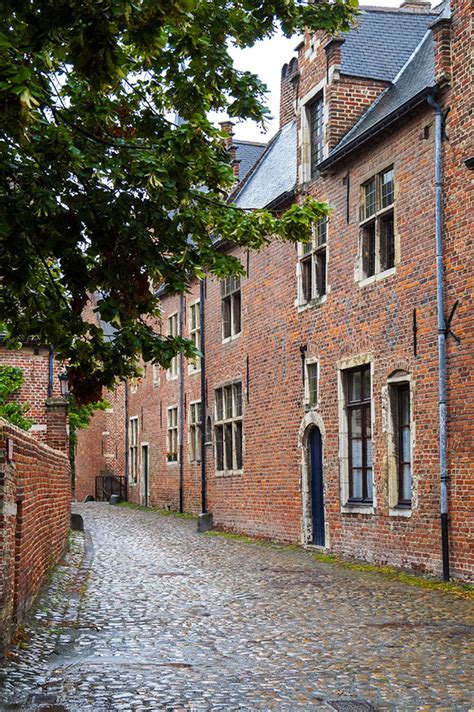 schilderachtig uitzicht op de kasseienstraatjes en historische huizen van het Groot Begijnhof