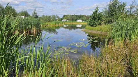 Landschap rondom Camping de Kemperplas met agrarische elementen en waterpartij