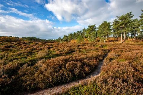 Thematische foto van de kustlijn bij Bergen aan Zee met duinen en zee