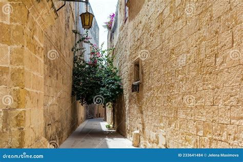 Een sfeervolle, smalle straat in de historische stad Mdina met stenen gebouwen en bloemen.