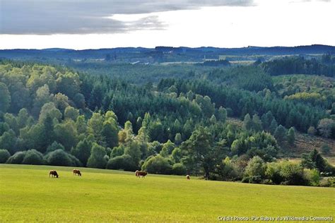 Landschap van het Plateau de Millevaches in de Limousin