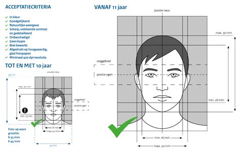 Infographic die de belangrijkste pasfoto-eisen voor een Vietnamees visum samenvat, inclusief afmetingen, achtergrondkleur en gezichtspositie.
