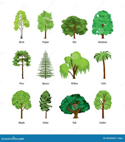Illustratie van verschillende boomsoorten en hun globale verspreiding.