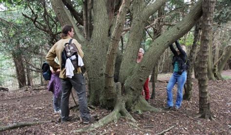Foto van Jeroen Heindijk in een bos.
