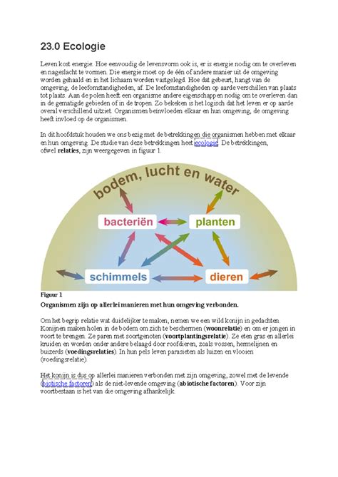 Infographic over verschillende symbiotische relaties tussen bomen en andere organismen.