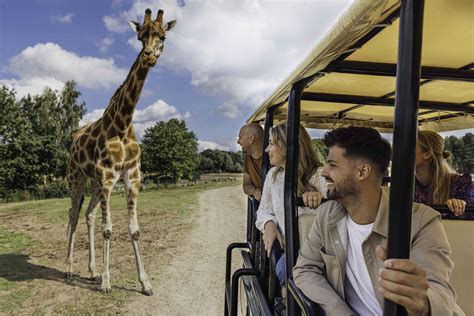 Gamedrive in Safaripark Beekse Bergen