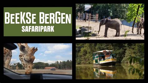 Safariboot in Safaripark Beekse Bergen