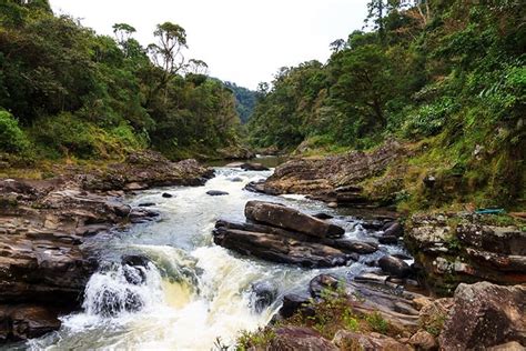 Een waterval in het weelderige regenwoud van Ranomafana National Park