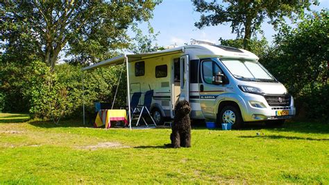 Hond op een camping met een glimlachende eigenaar