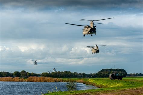 Gekwetst vee na helikopteroefening