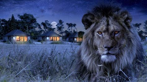 Lodge met uitzicht op de savanne in Serengeti-Park