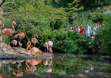 Gezinsvriendelijke sfeer in Vogelpark Avifauna met diverse eetgelegenheden.