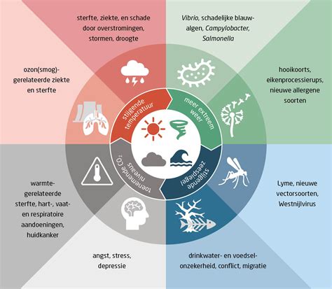 Infographic die de verschillende milieu-impacts van wintersport weergeeft.