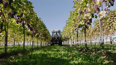 Illustratie van een boerderij of wijngaard met een camper die geparkeerd staat, als voorbeeld van het gastconcept.
