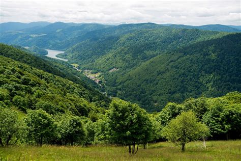 Landschap met wandelpad in de Vogezen