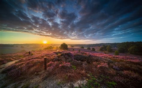 Landschap van Gelderland met bossen en heide
