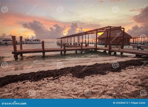 Houten pier van Hotel Elegance met loungebedden