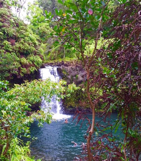 Uitzicht op de weelderige natuur en watervallen langs de Road to Hana