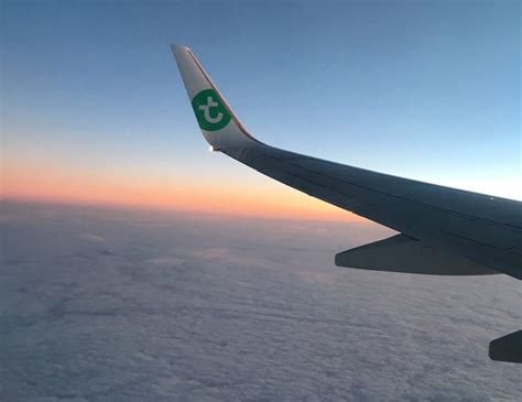 Grafiek die het aantal geannuleerde vluchten van Transavia weergeeft