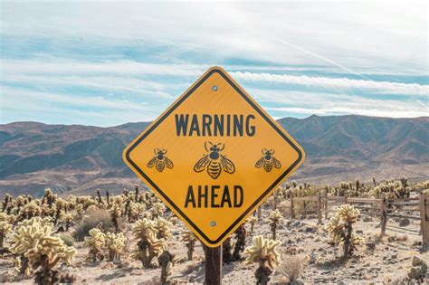 Twee officiële kleurenpasfoto's voor een visumaanvraag