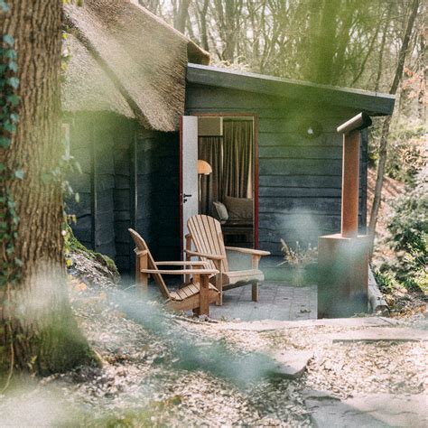 Stijlvolle interieurfoto van de bistro van Wever Lodge met houten elementen en planten