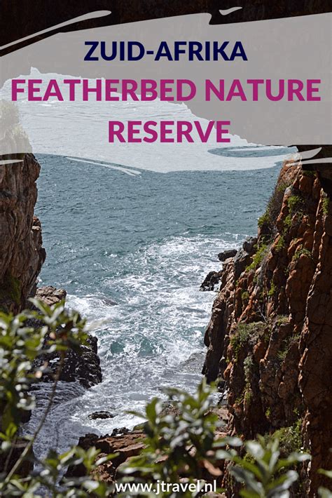 Boottocht over de Knysna-lagune met uitzicht op Featherbed Nature Reserve