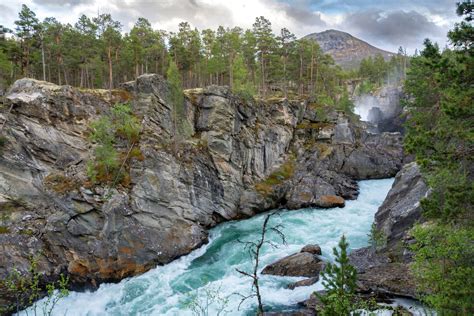 Illustratie van diverse vakantiewoningen in verschillende Europese landschappen.