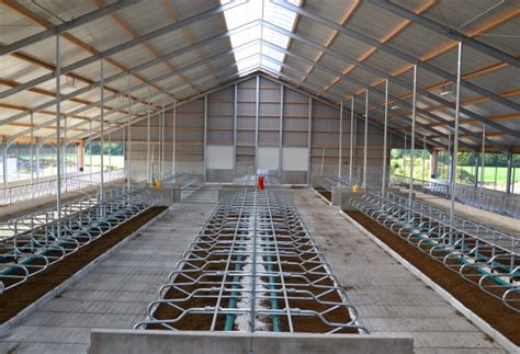 Moderne melkveestal met geautomatiseerde voersystemen