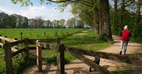 Artistieke impressie van het washuisje op Landgoed Hemmen met uitzicht op de Linge en walnotenbomen.