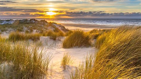 Landschap van de Waddeneilanden met duinen en strand