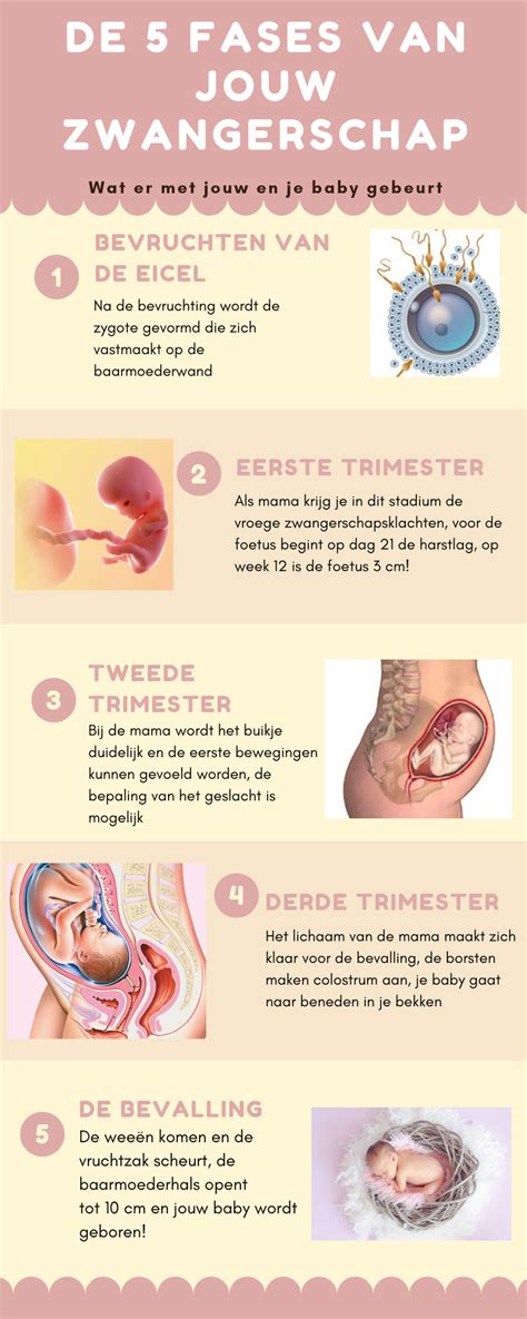 Infographic over de verschillende fasen van een bevalling en mogelijke interventies