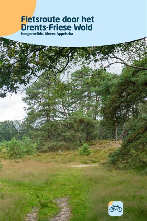 Fietsroute door het bosrijke natuurgebied Herperduin