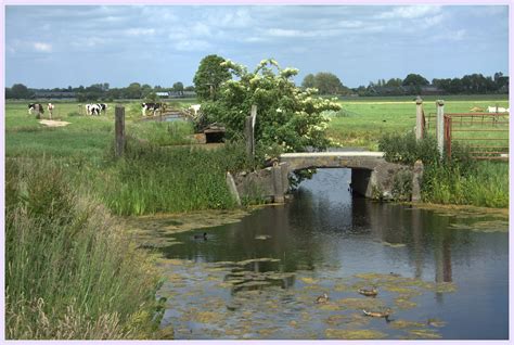 Uitzicht over de Waterlandse polders met karakteristieke huizen